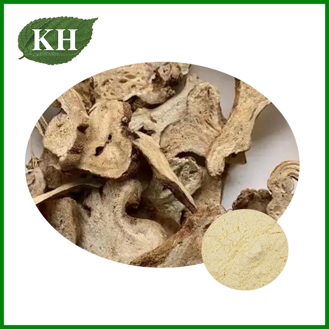 Largehead Atractylodes Extract Largehead Atractylodes Extract